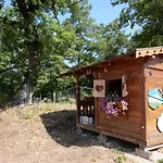 Apartment Pian Dei Carpini - Chiara By Interhome *