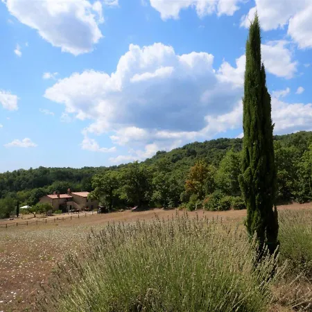 Pian Dei Carpini - Chiara By Interhome Apartment *