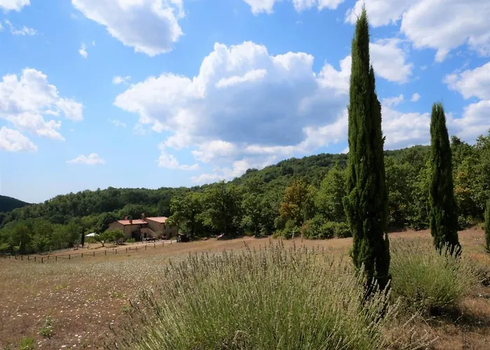 Pian Dei Carpini - Chiara By Interhome Appartamento *